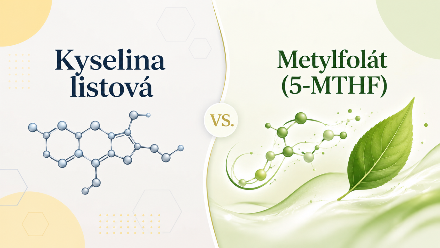 Porovnanie kyseliny listovej a metylfolátu (5-MTHF) – rozdiel medzi formami vitamínu B9