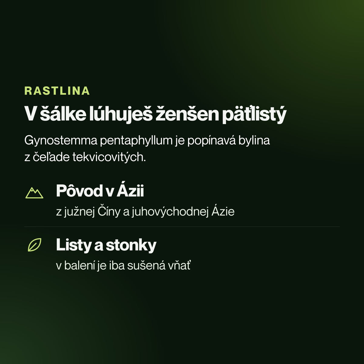 Jiaogulan – V šálke lúhuješ ženšen päťlistý